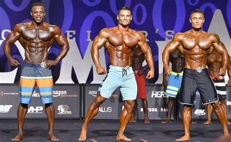 Understanding the Different Competitive Bodybuilding .
